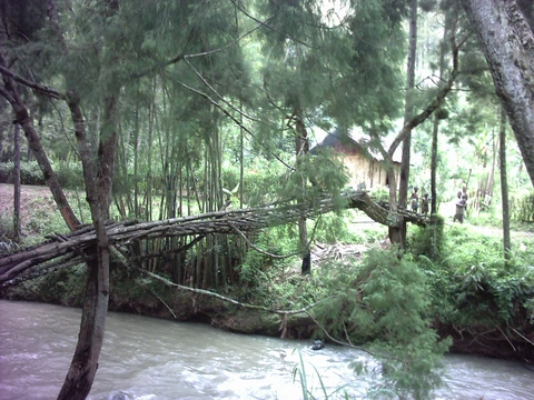 Bridge aŋross the Wapi River