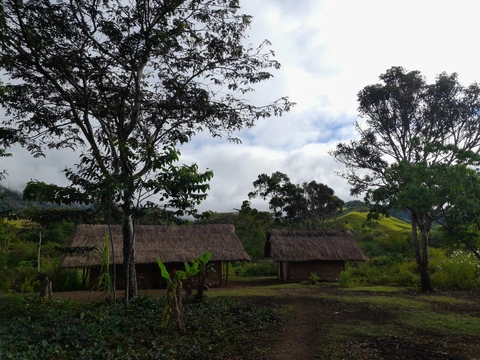 Two houses in Wiwai valley