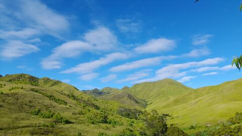 Wiwai valley