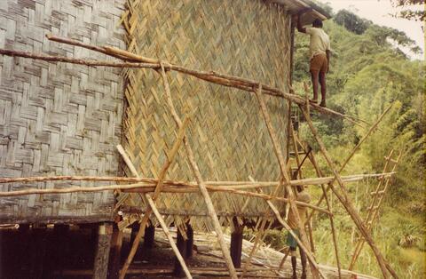 Weaving a bamboo wall
